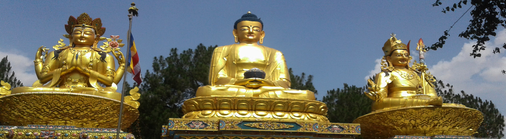 Statue of Buddha's 