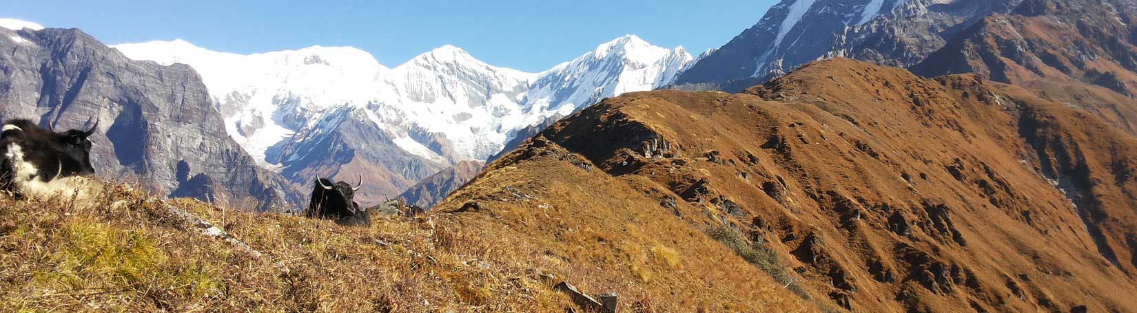 Mardi Himal Treks