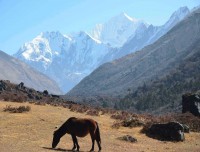 Langtang Helambu Trekking