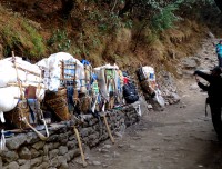 Local baskets with trekking goods