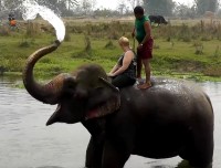Elephant Bath in Chitwan
