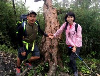 Ghorepani Poonhill Trek