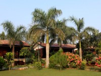 Hotel Accommodation in Chitwan