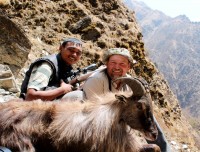 Himalayan Tahr Hunt