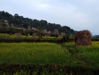 Village Tour in Nepal