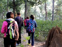 Jungle Walk Tour with Nature Guige