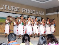 Tharu Culture Dance Program