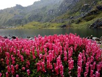 Panch Pokhari Trek