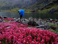 Panch Pokhari Trek