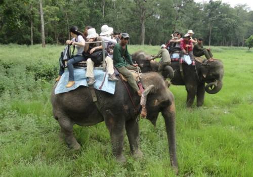 Chitwan Wildlife Safari Tour