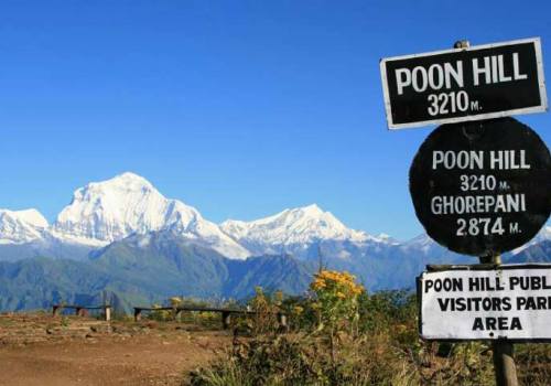 Ghorepani Poonhill Trekking